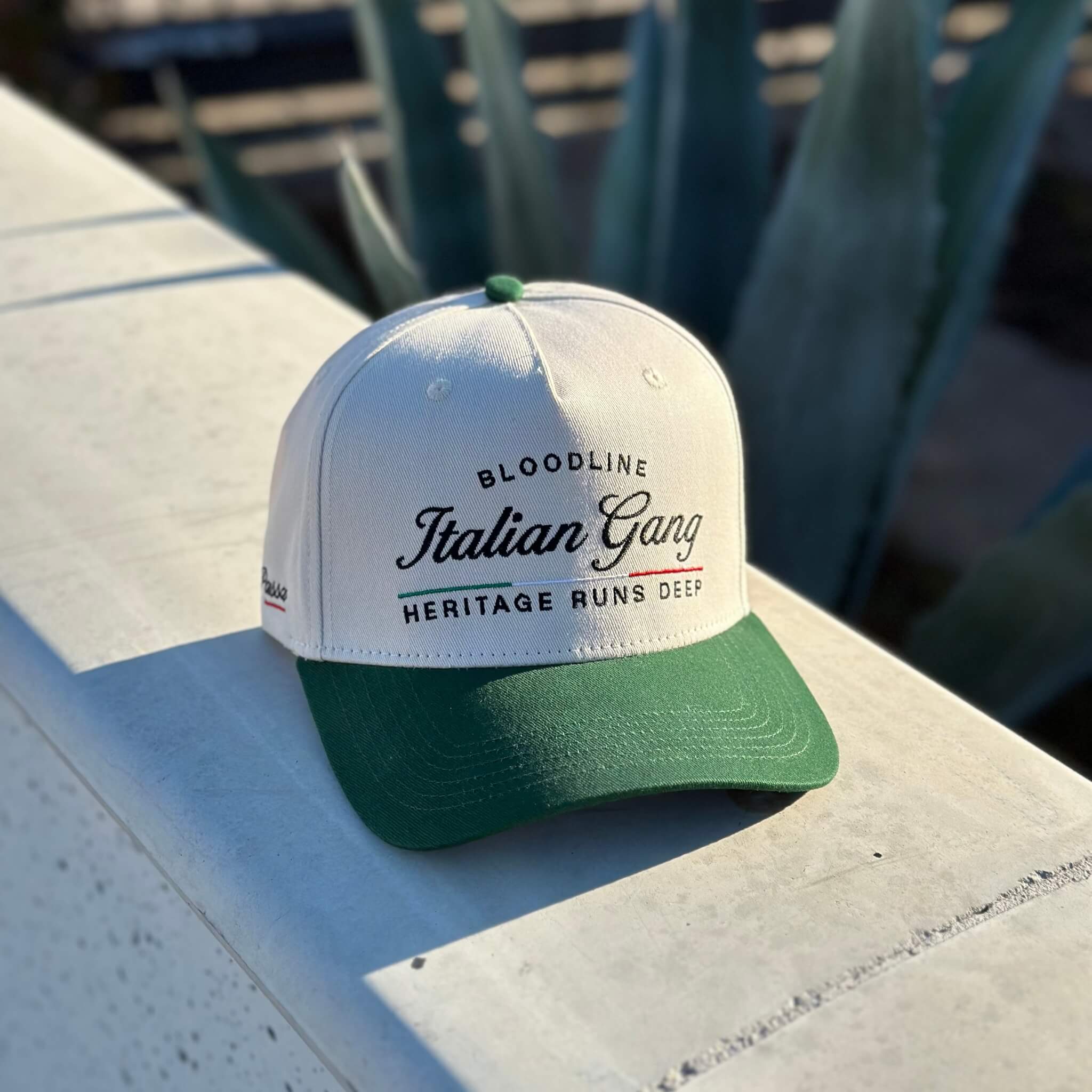 Forest Green & Crème Snapback