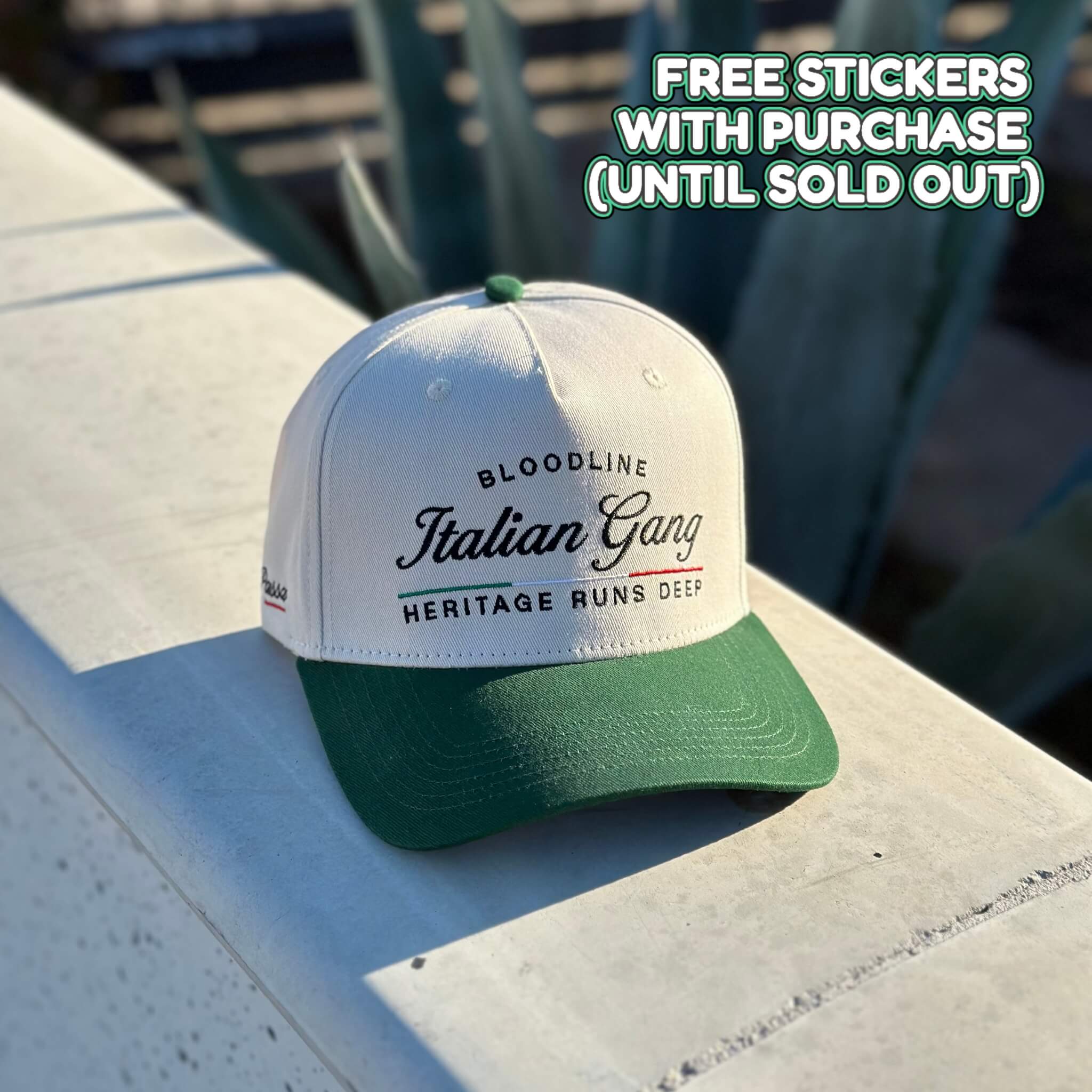 Forest Green & Crème Snapback