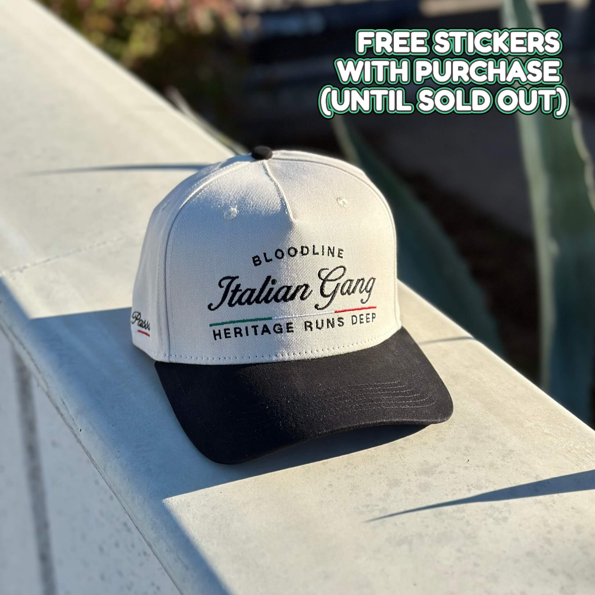 Black & Créme Snapback